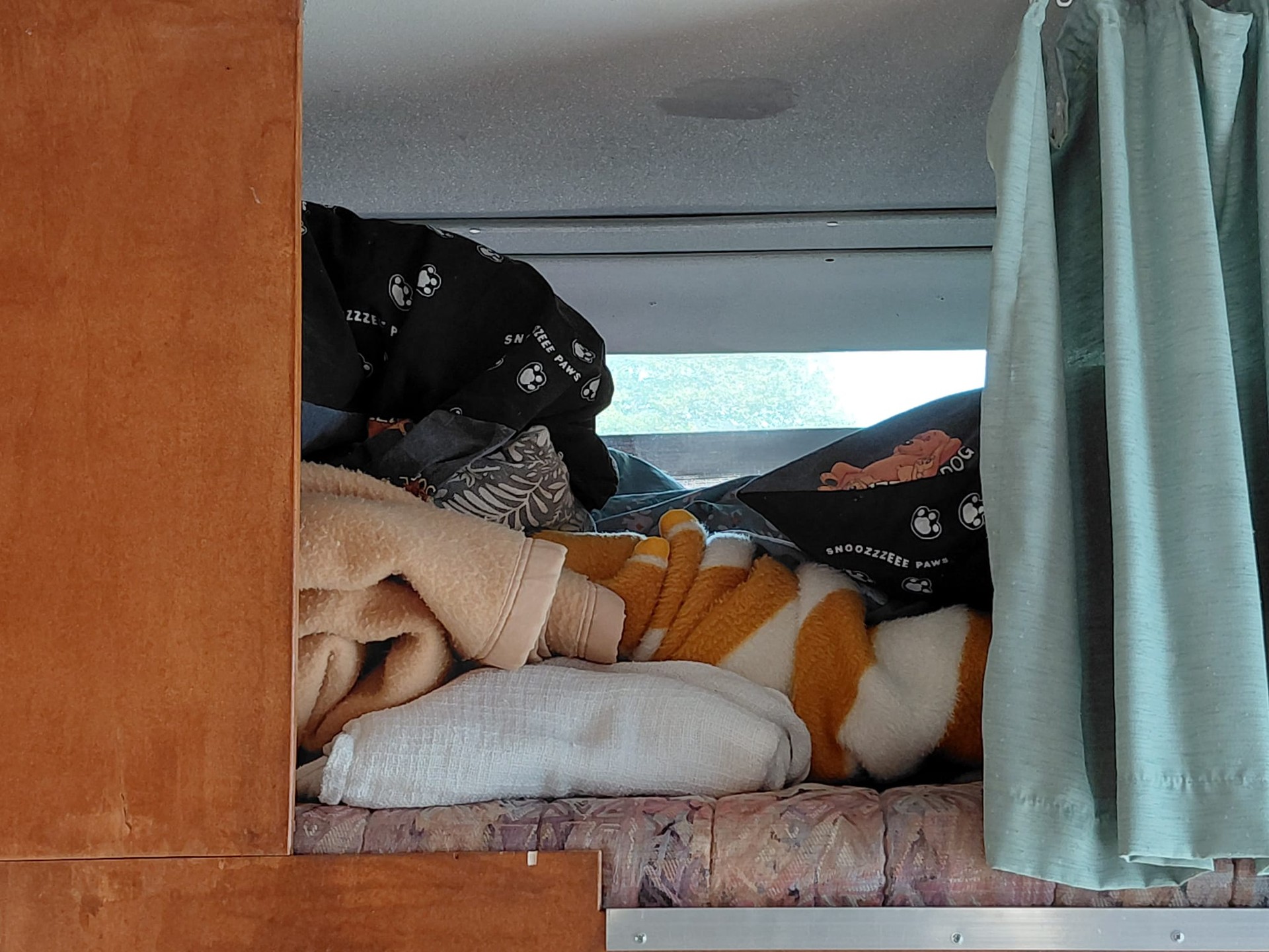 FIAT Ducato-image-9