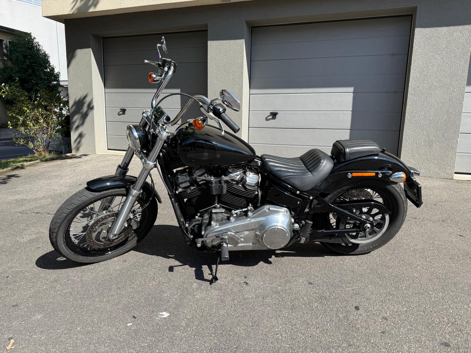 HARLEY-DAVIDSON FXLRST Low Rider ST 117-showroom-element-2