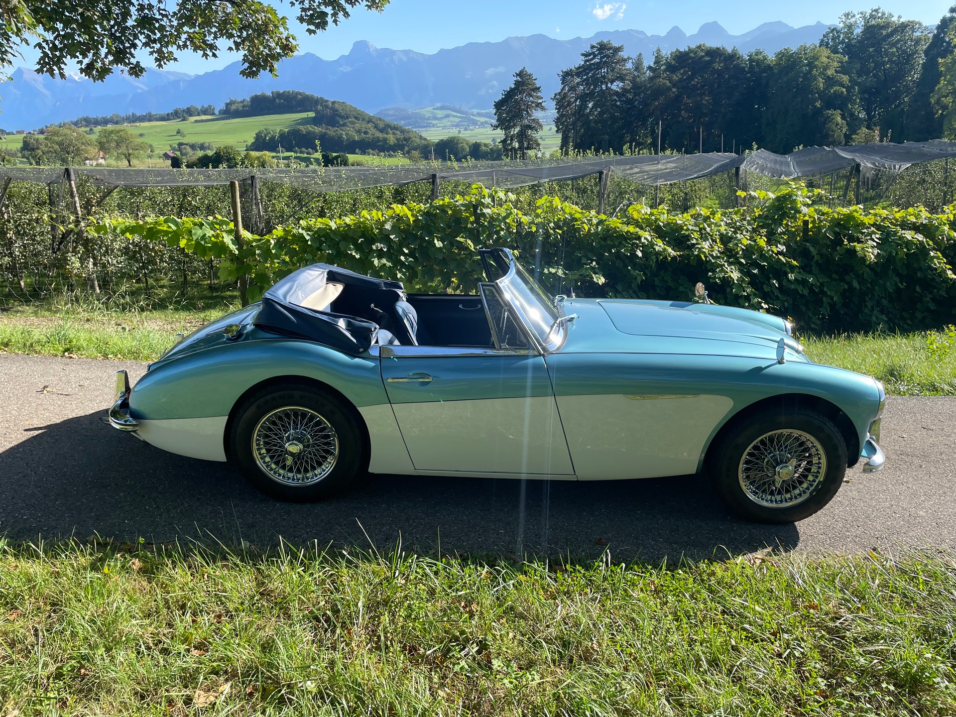 AUSTIN-HEALEY MK III 3000 Sport-image-5
