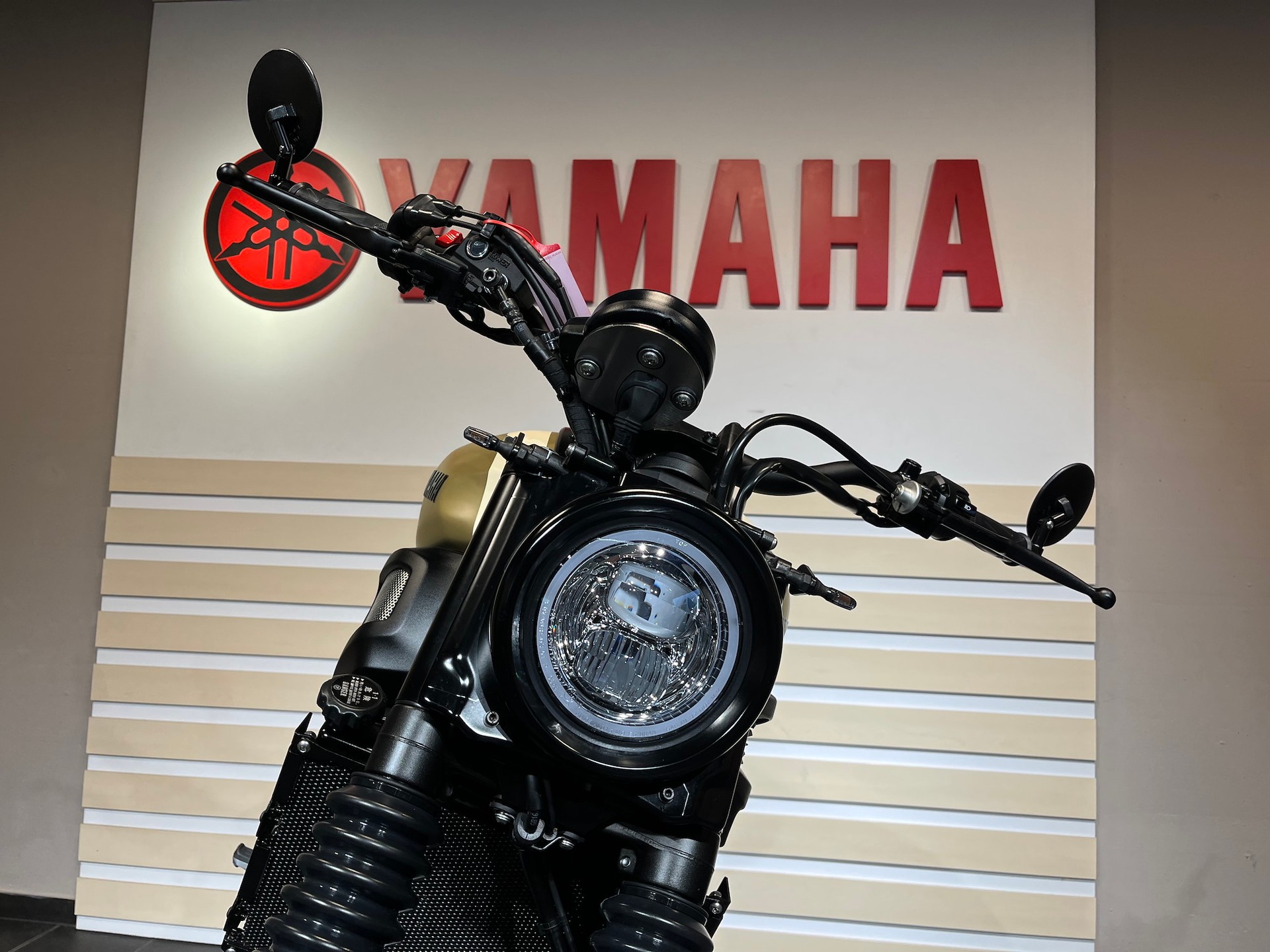 YAMAHA XSR 700 Coyote 2-image-8