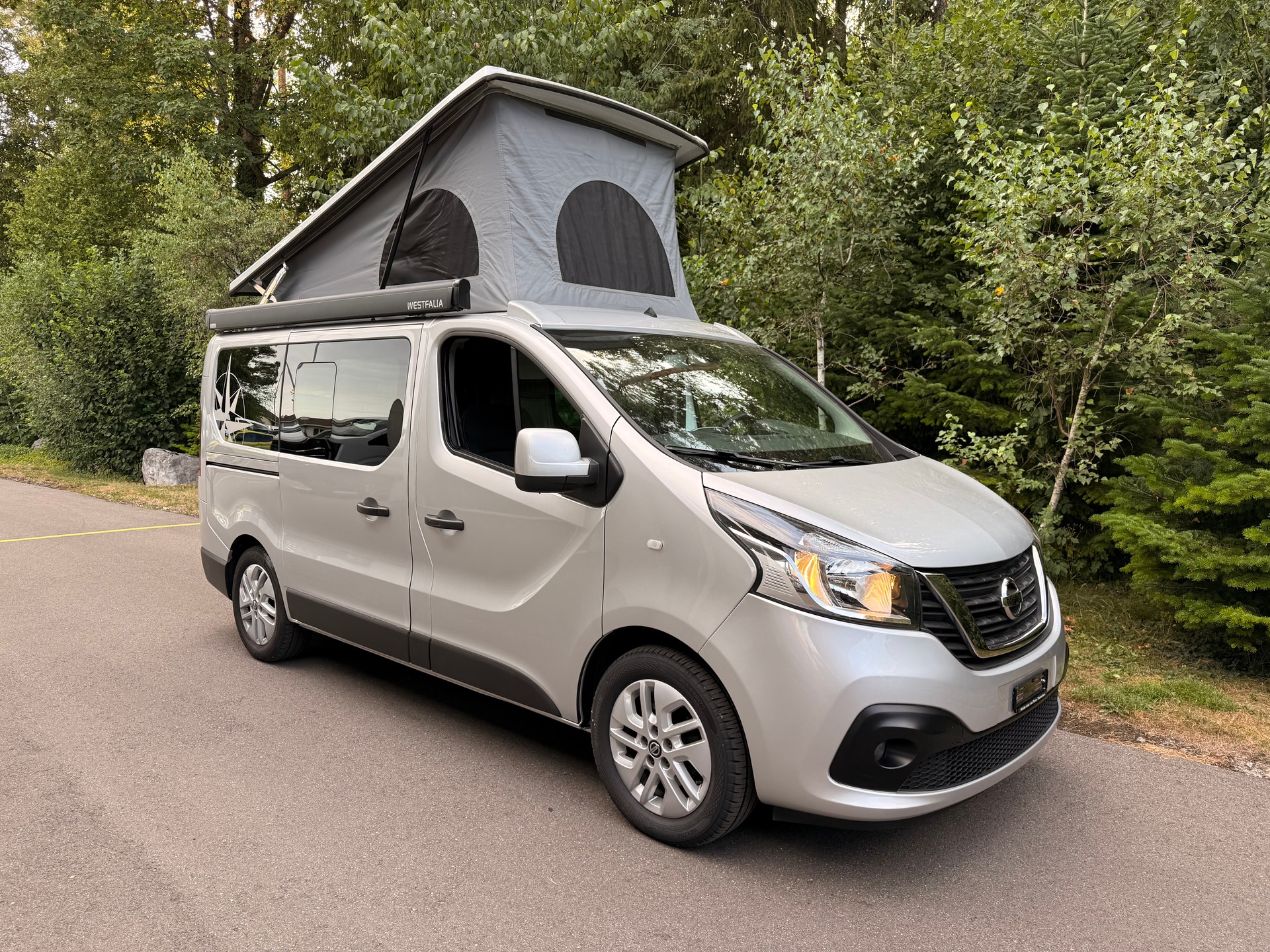 NISSAN Michelangelo dCi 170 2.9 L1H1 DCT-image-0