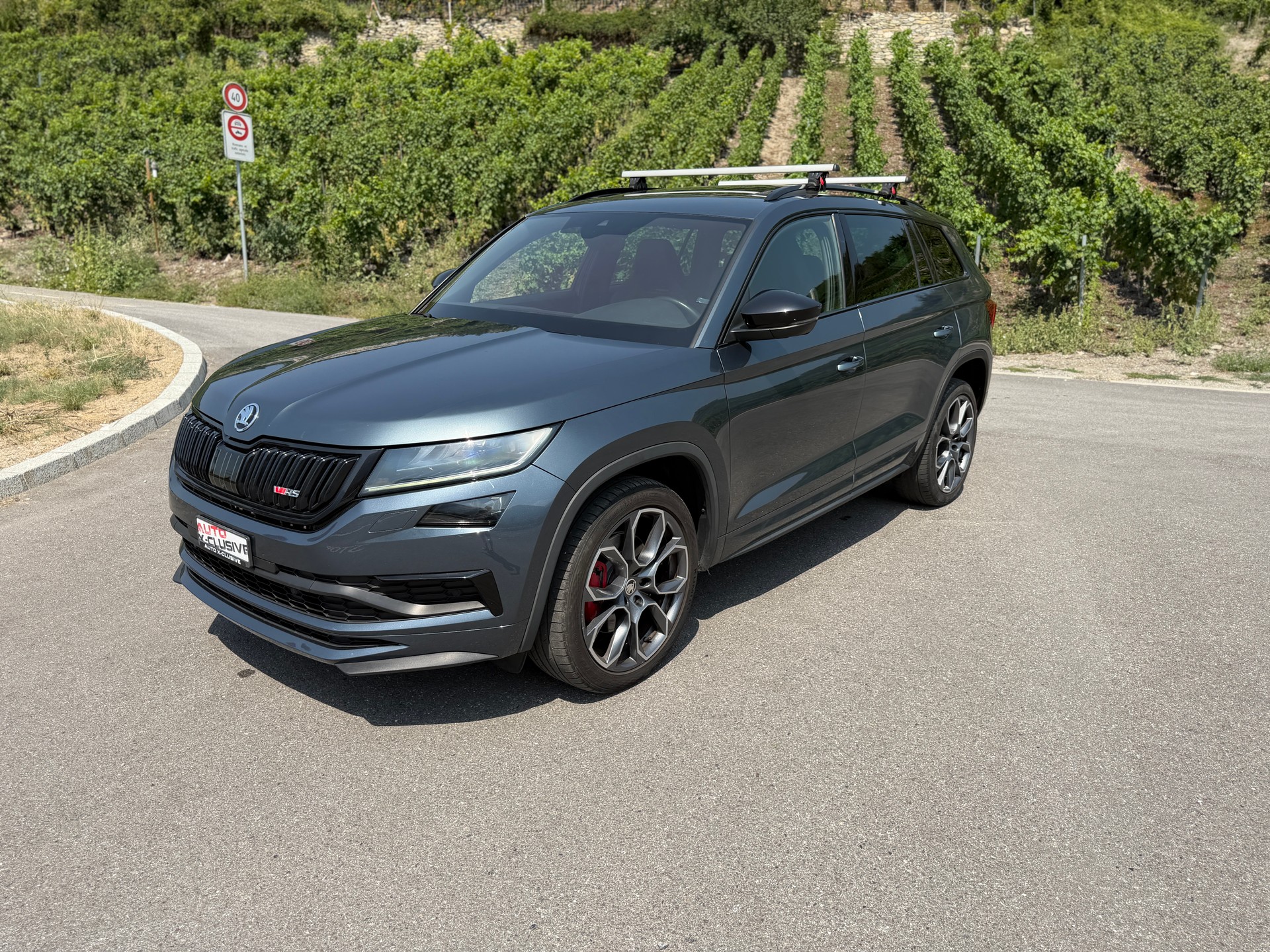 SKODA Kodiaq 2.0 Bi-TDI SCR RS 4x4 DSG-image-0