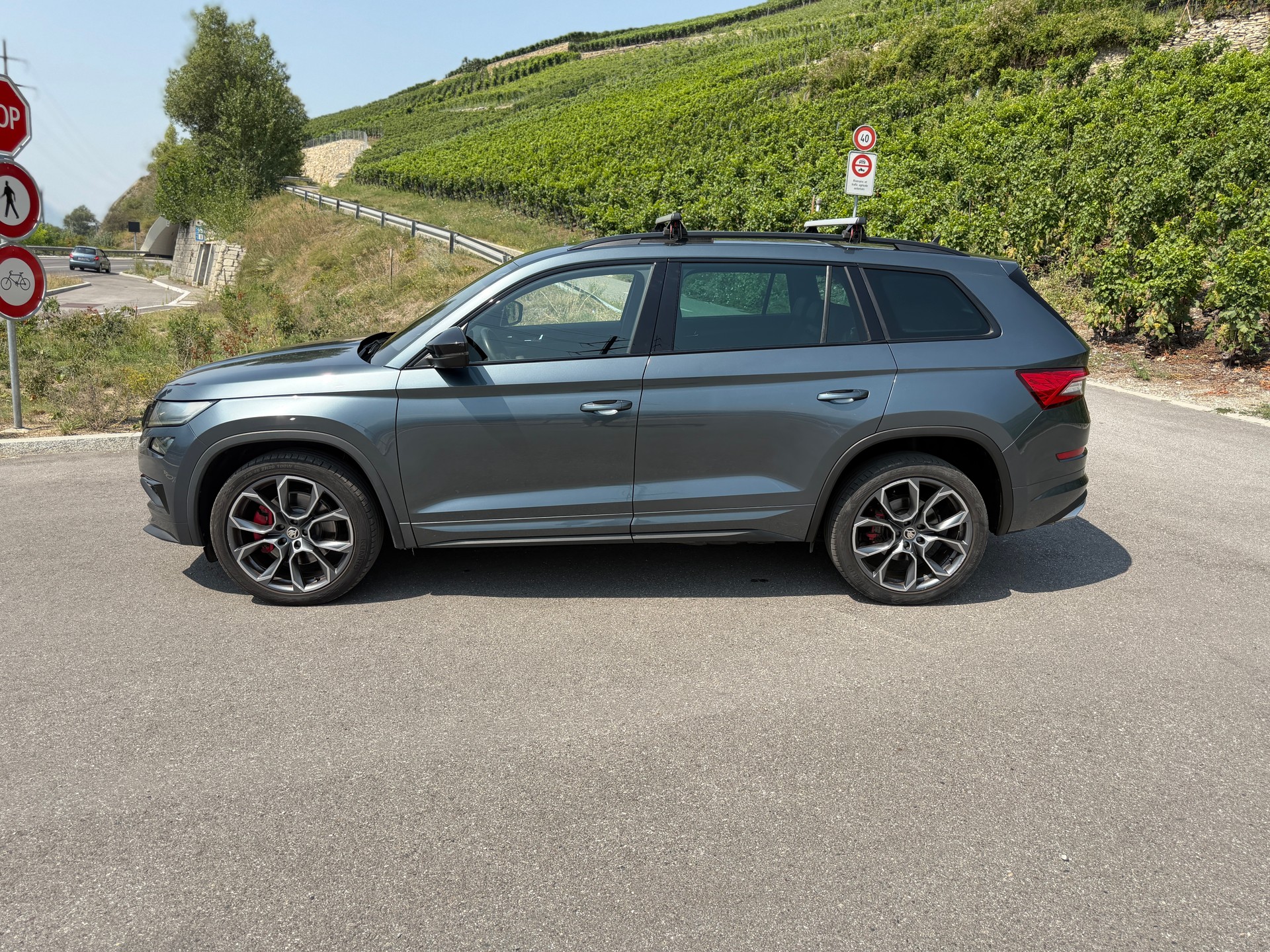 SKODA Kodiaq 2.0 Bi-TDI SCR RS 4x4 DSG-image-12
