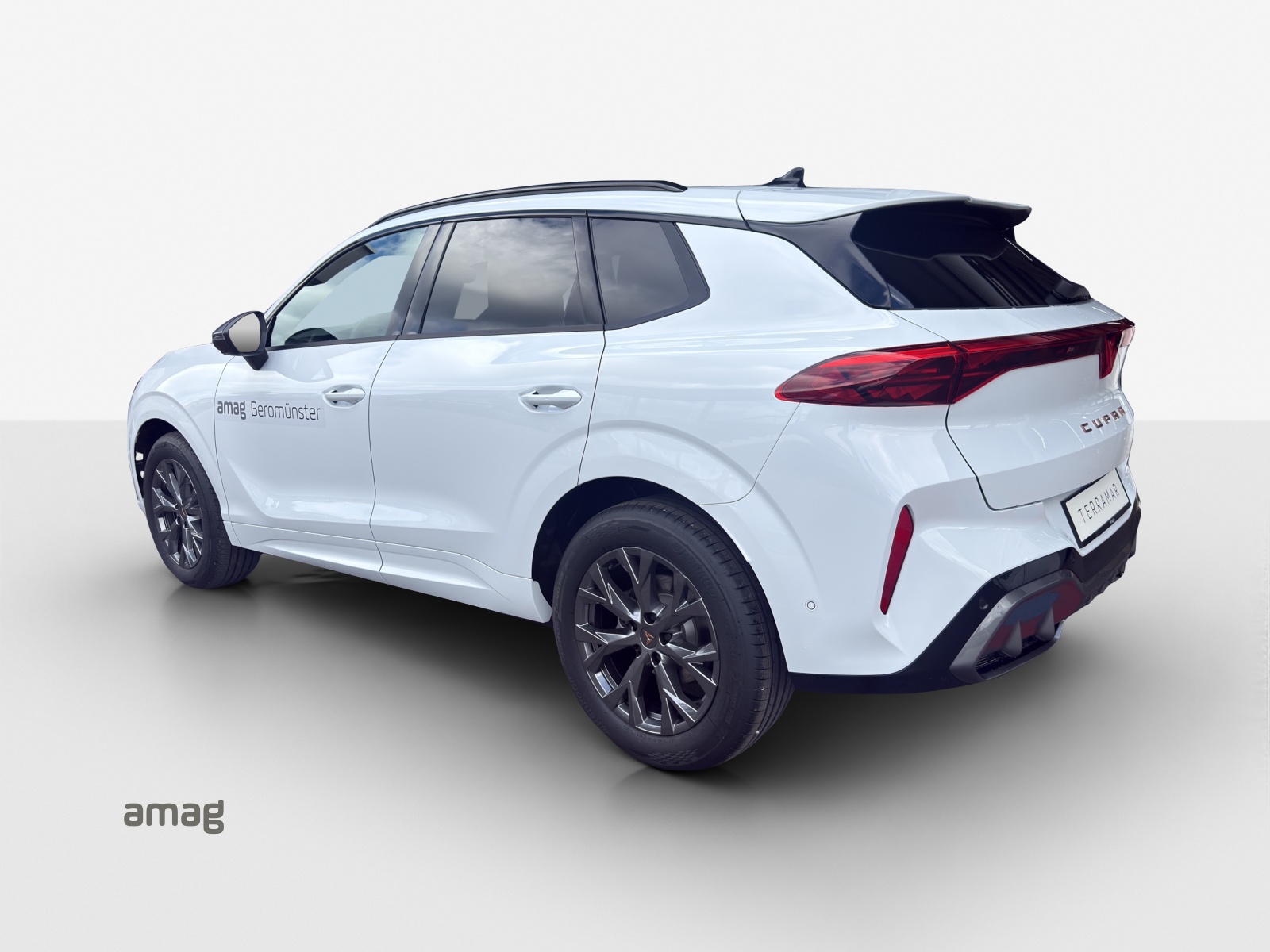 CUPRA Terramar 1.5 eTSI Prime Edition DSG-image-2