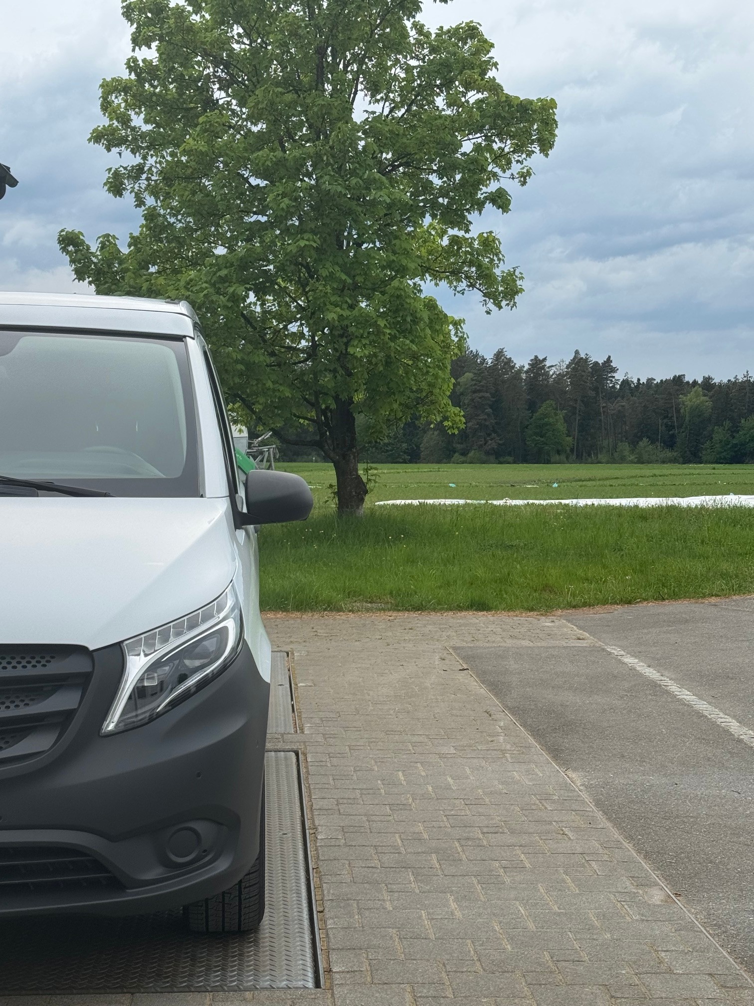 MERCEDES-BENZ Marco Polo Activity 250 d 4M Automat-showroom-element-3