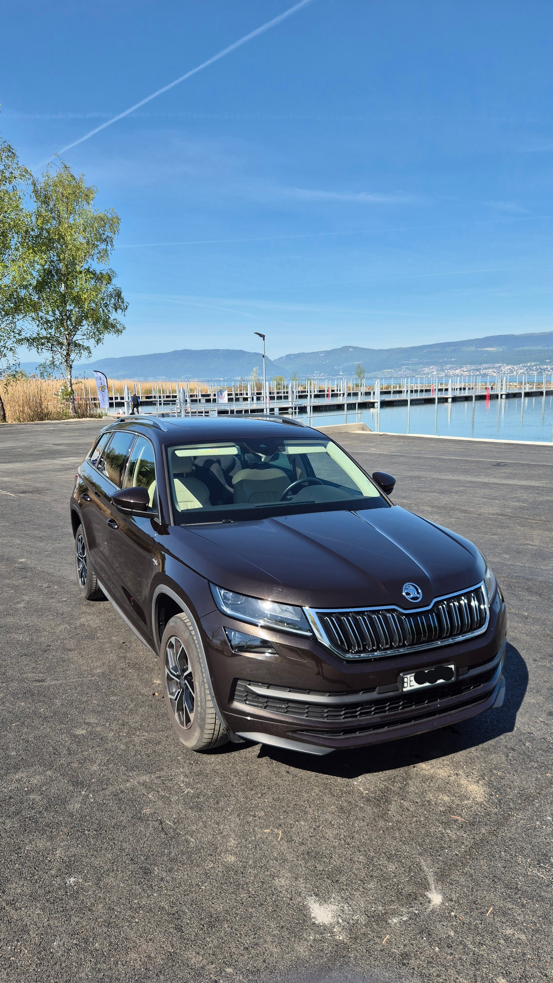 SKODA 2.0 TDI 190 L & K DSG-image-2