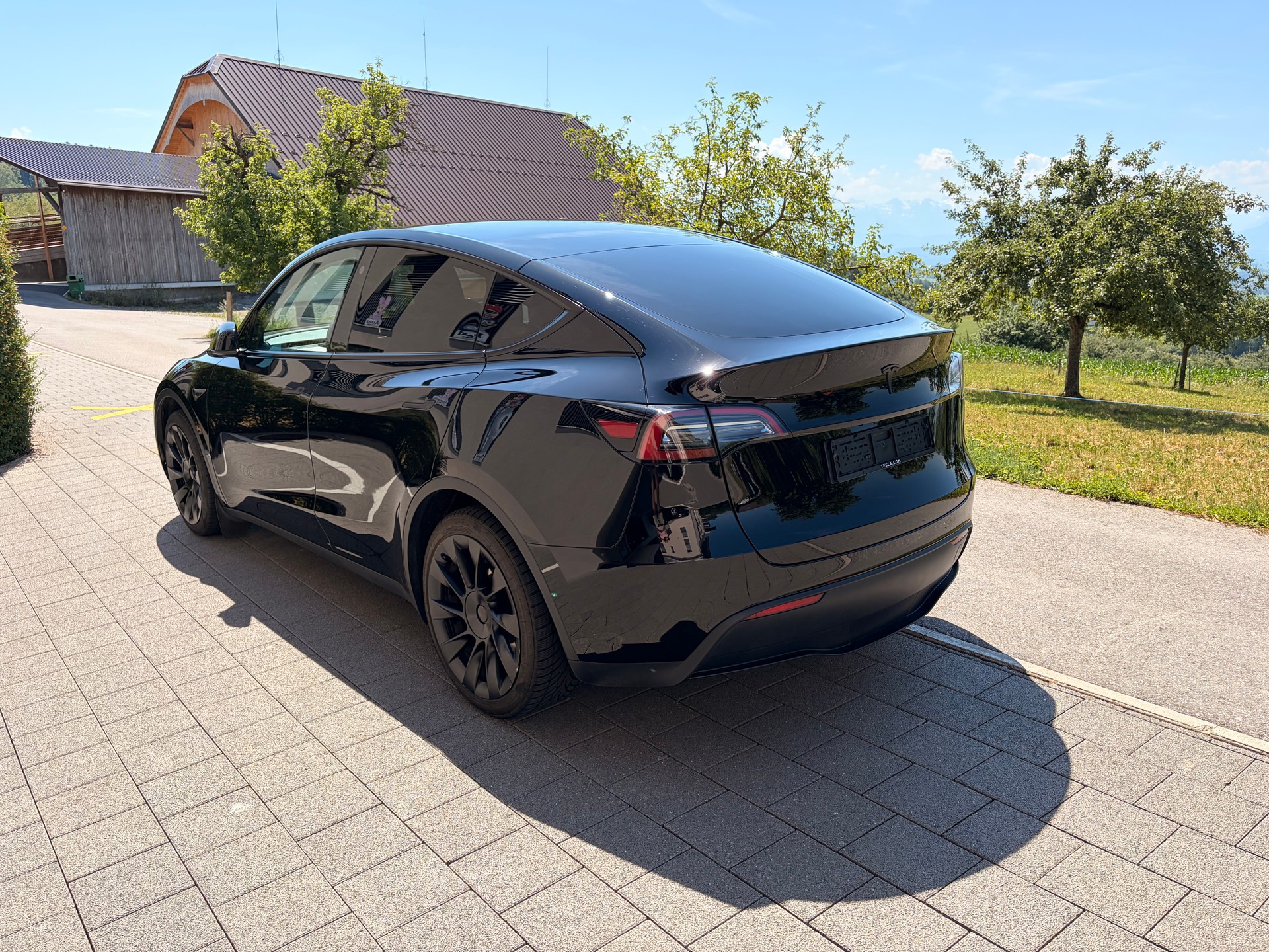 TESLA Basis-image-3