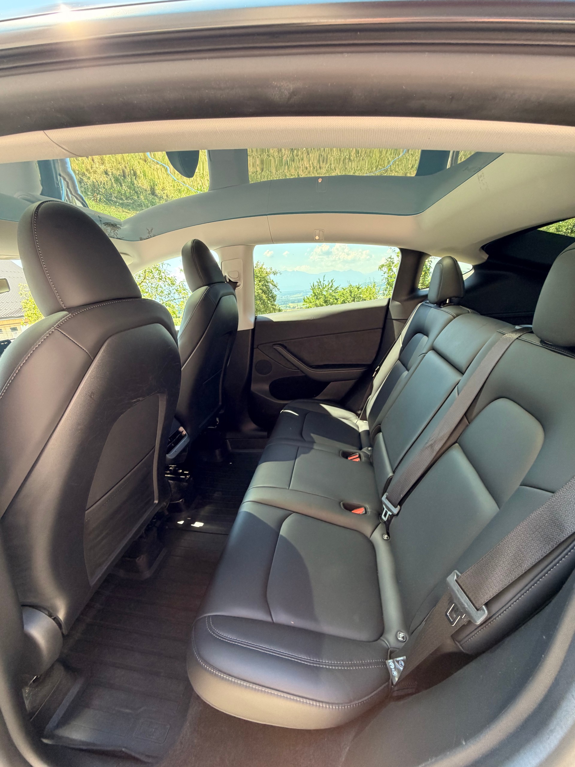 TESLA Basis-image-2