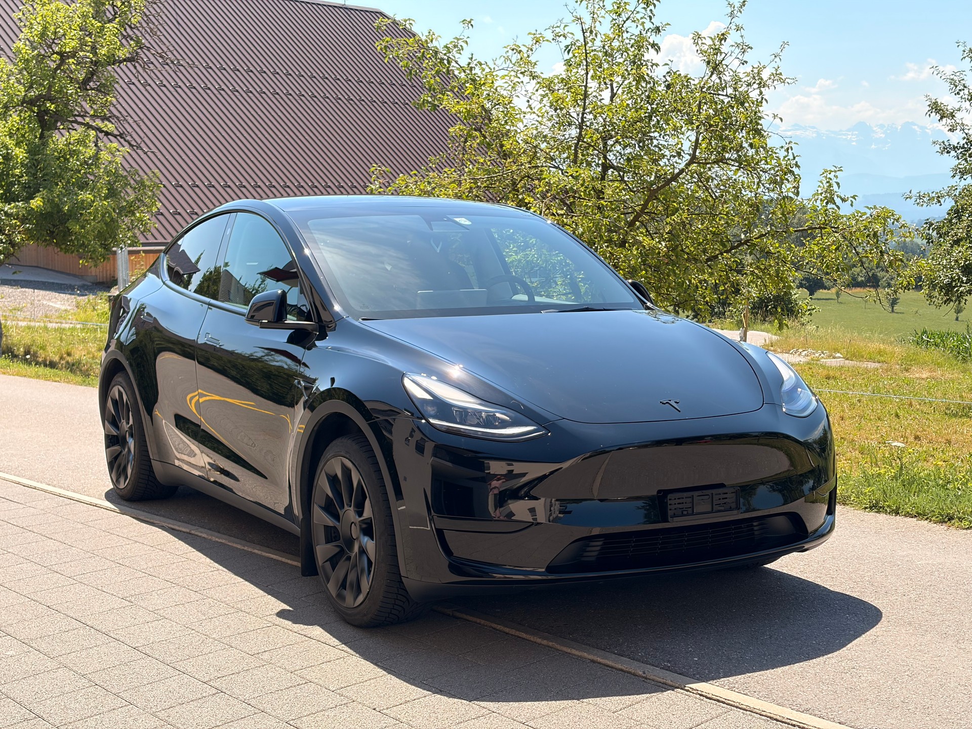 TESLA Basis-image-0