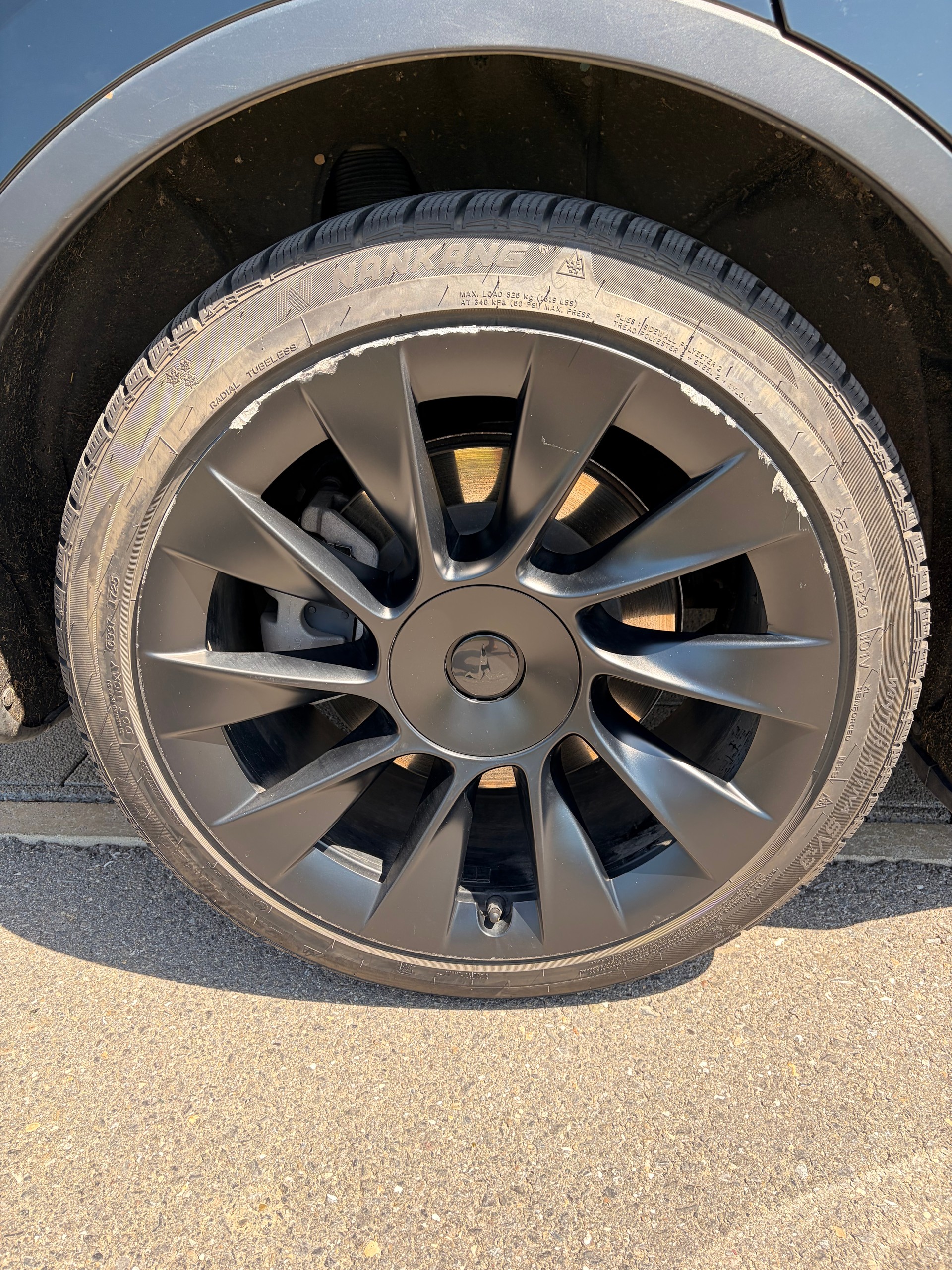TESLA Basis-image-5