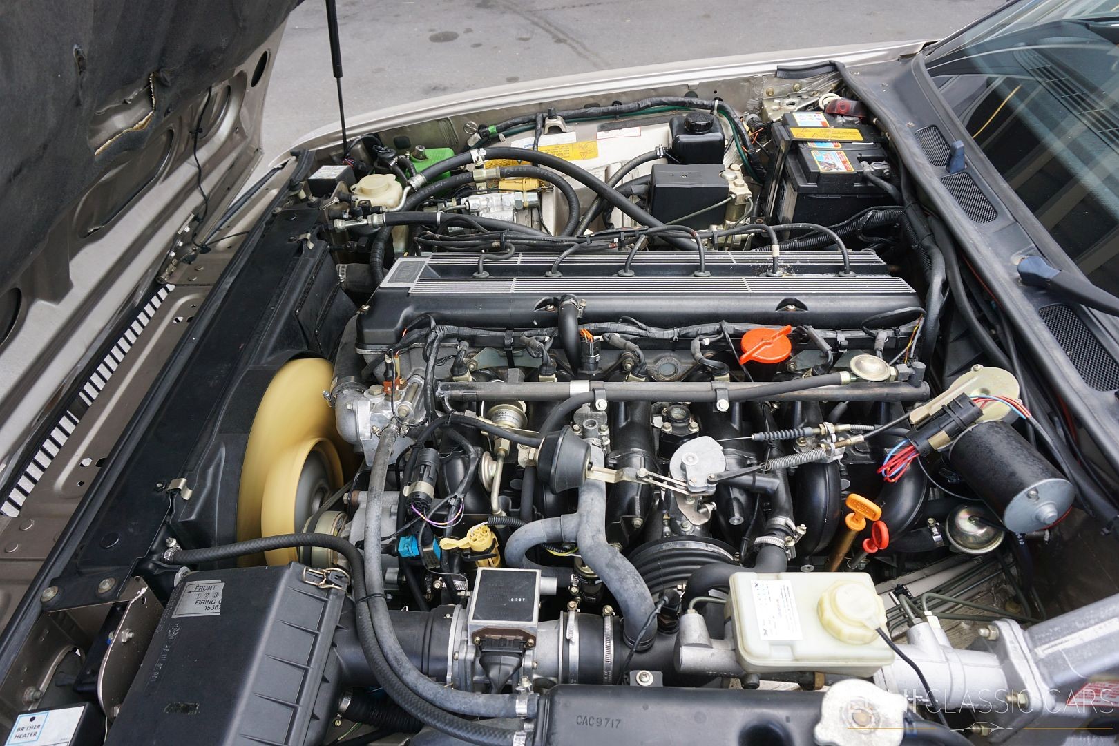 JAGUAR XJ6 3.6 Sovereign-image-31