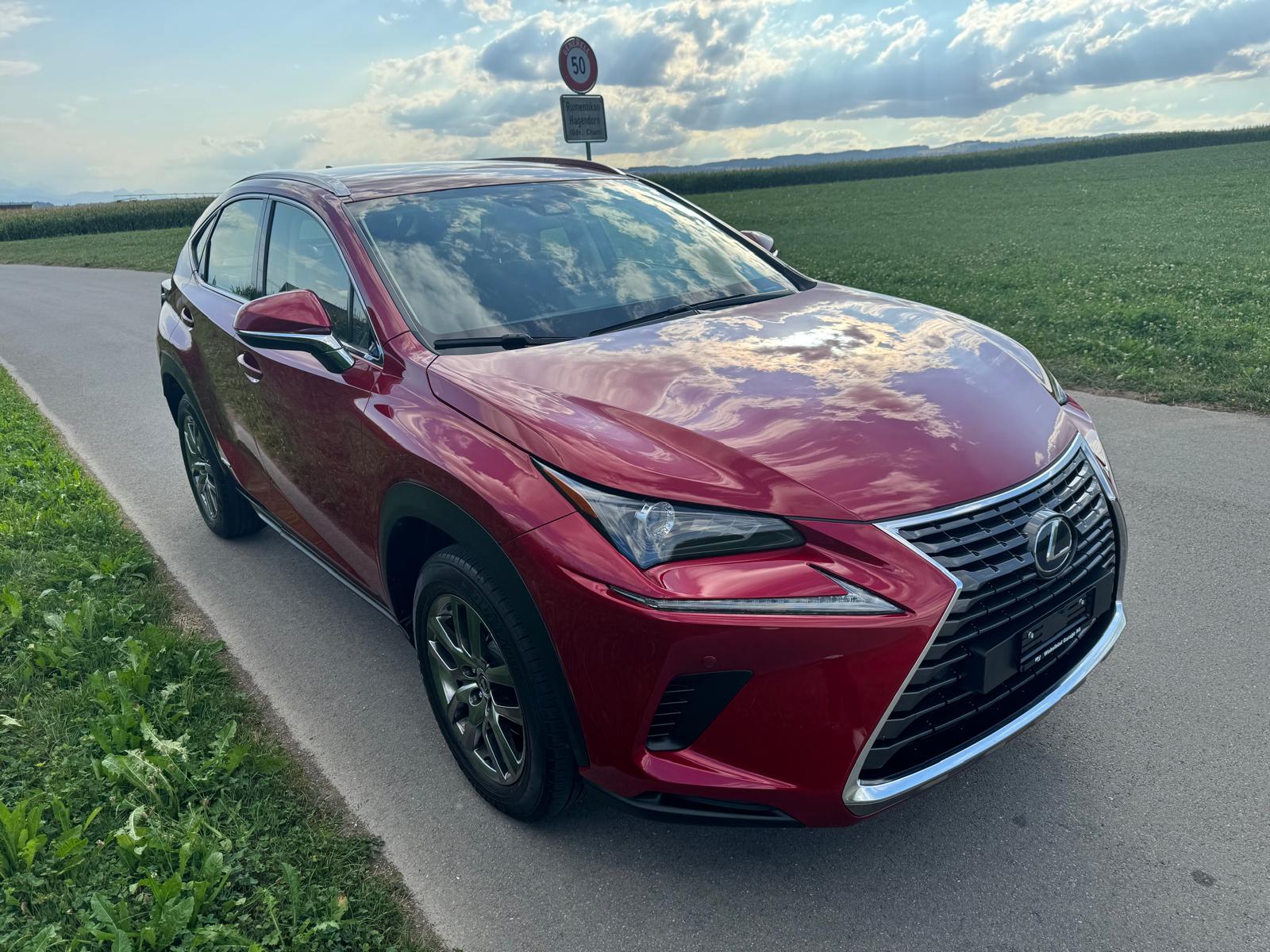 LEXUS NX 300h Impression E-Four Automatic-image-1