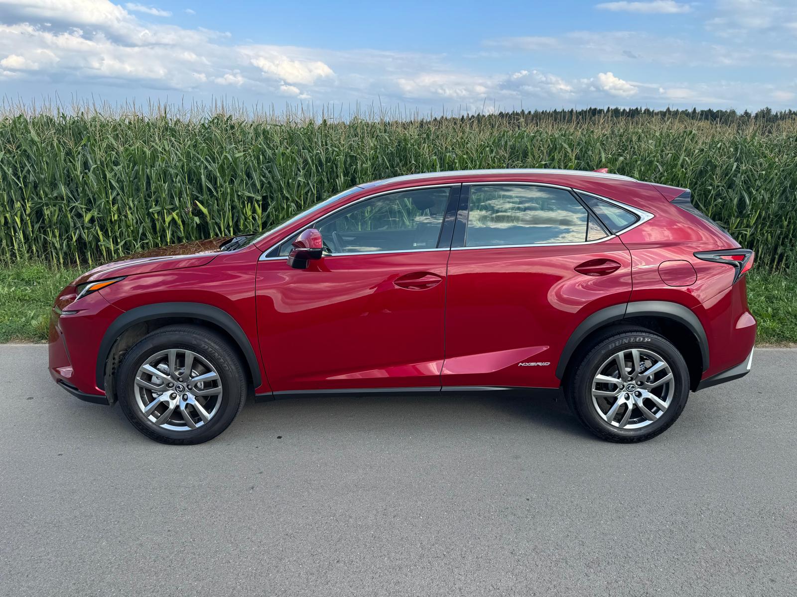 LEXUS NX 300h Impression E-Four Automatic-image-2