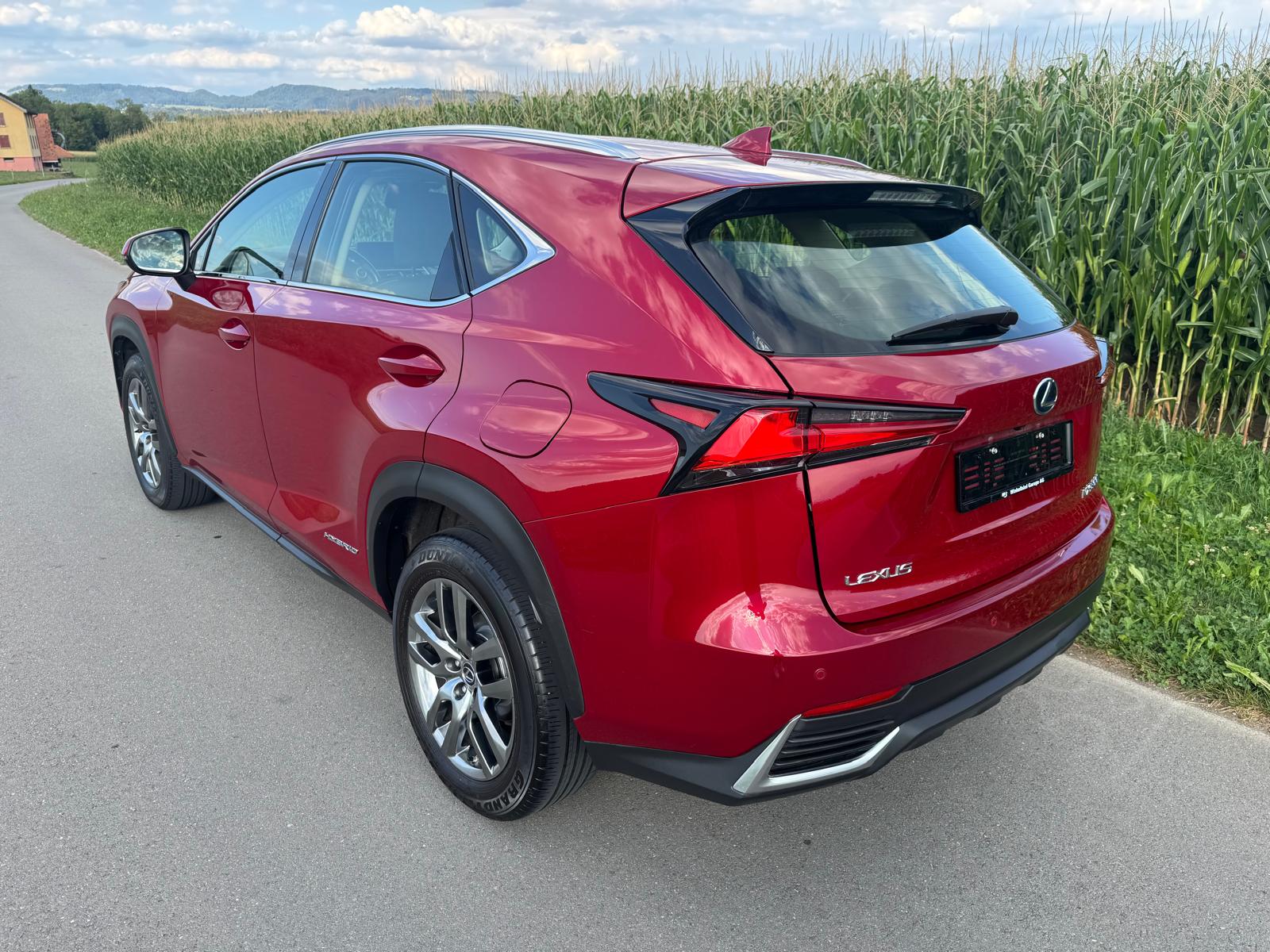 LEXUS NX 300h Impression E-Four Automatic-image-3