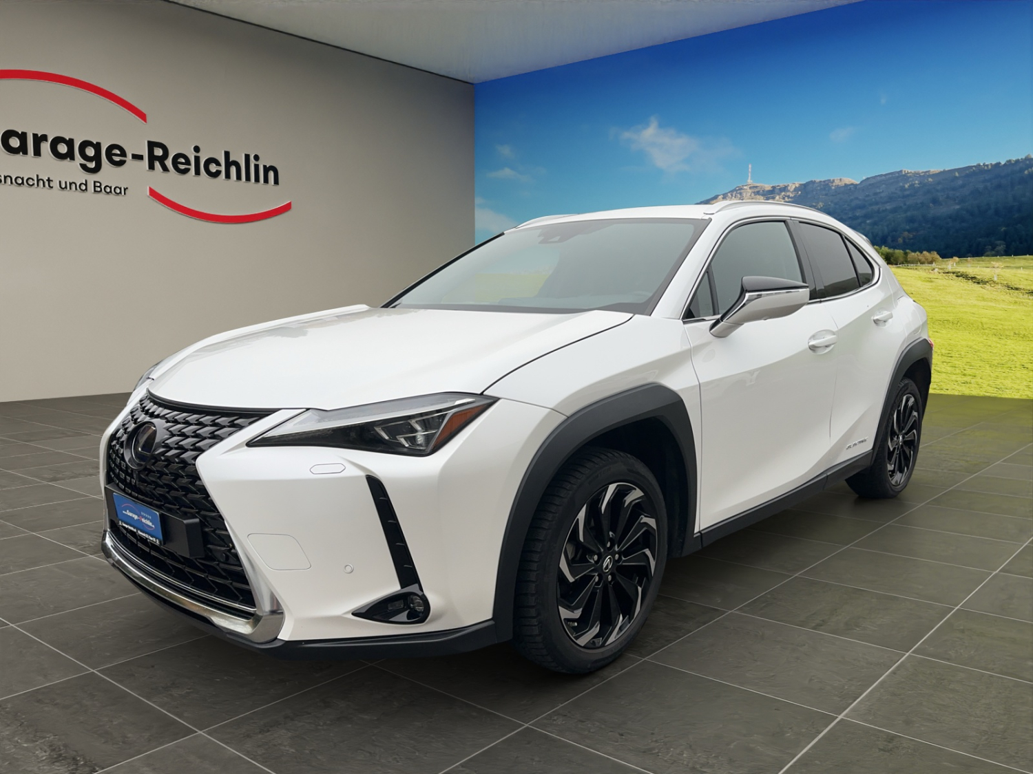 LEXUS UX 300e Excellence-image-0