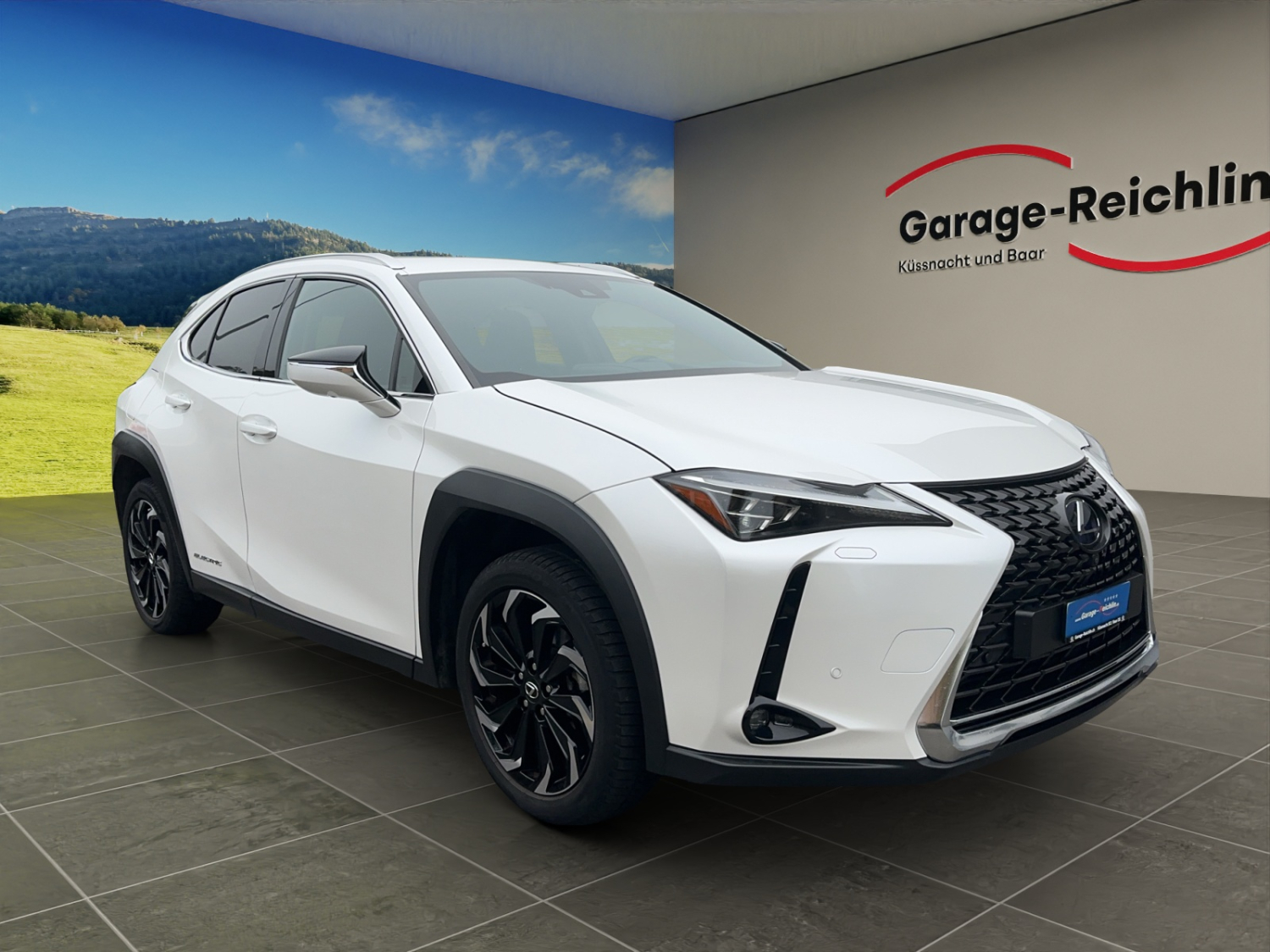 LEXUS UX 300e Excellence-image-6