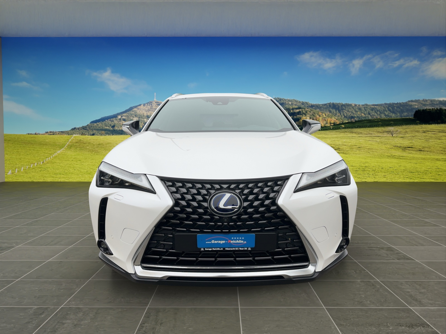 LEXUS UX 300e Excellence-image-7