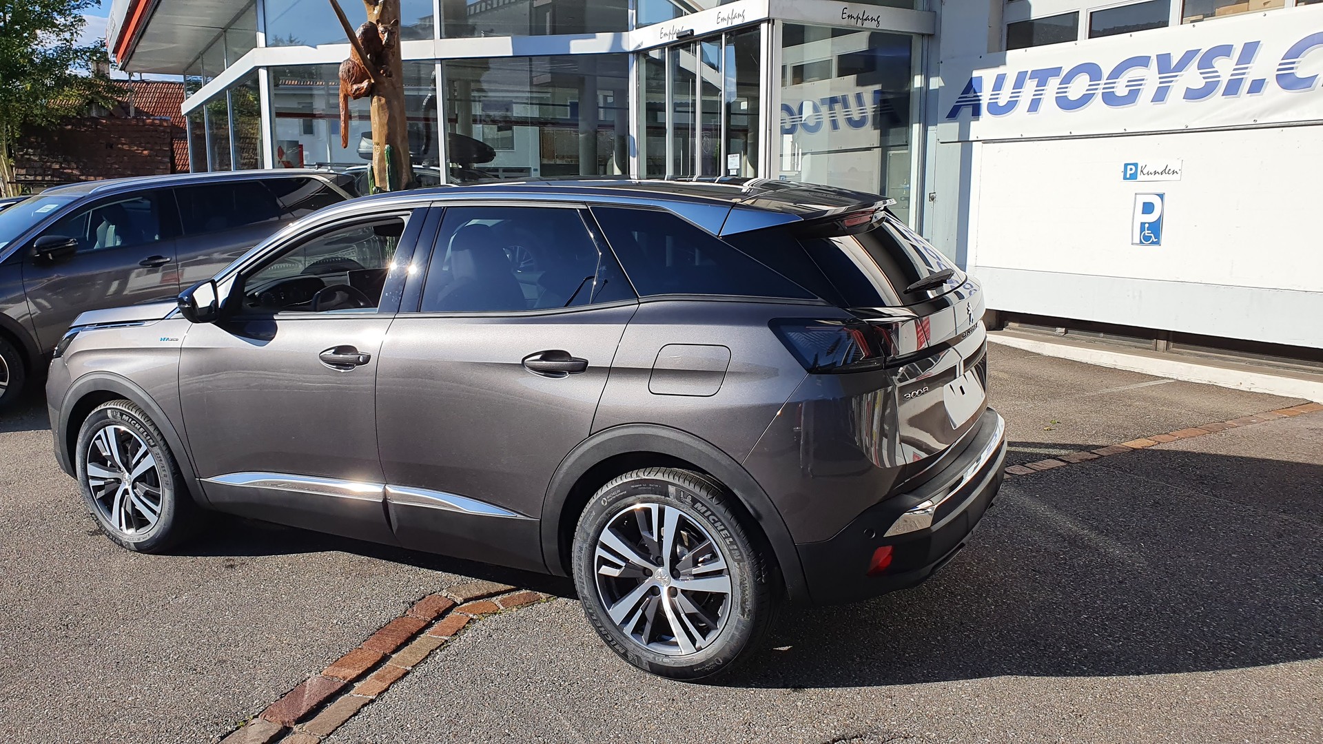 PEUGEOT 3008 Allure Pack Helvetia (412)-image-1
