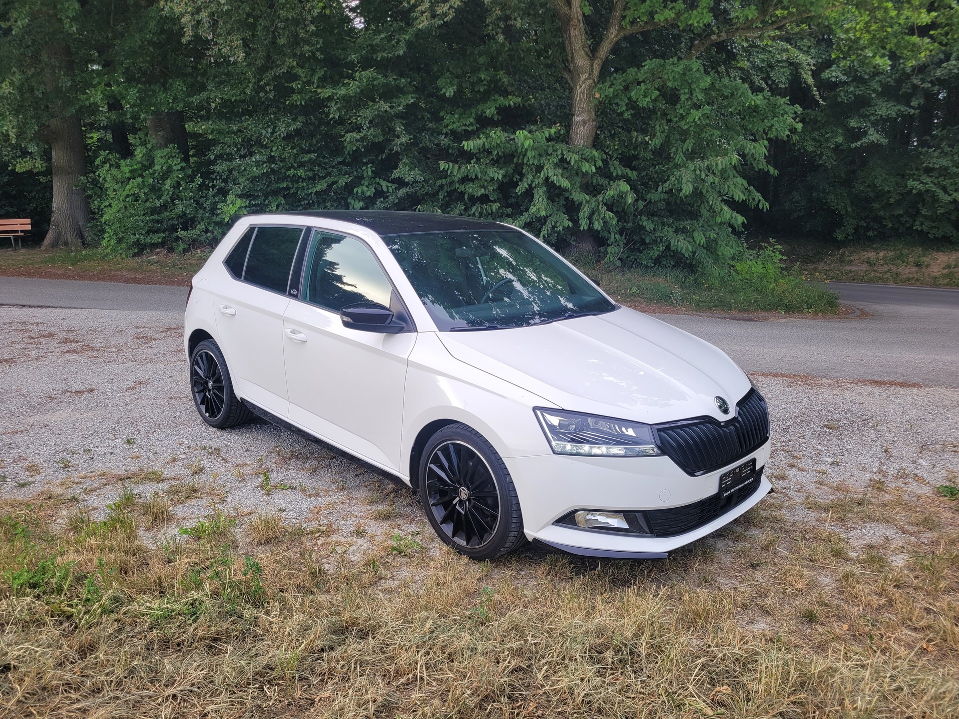 SKODA 1.0 TSI Monte Carlo-image-0