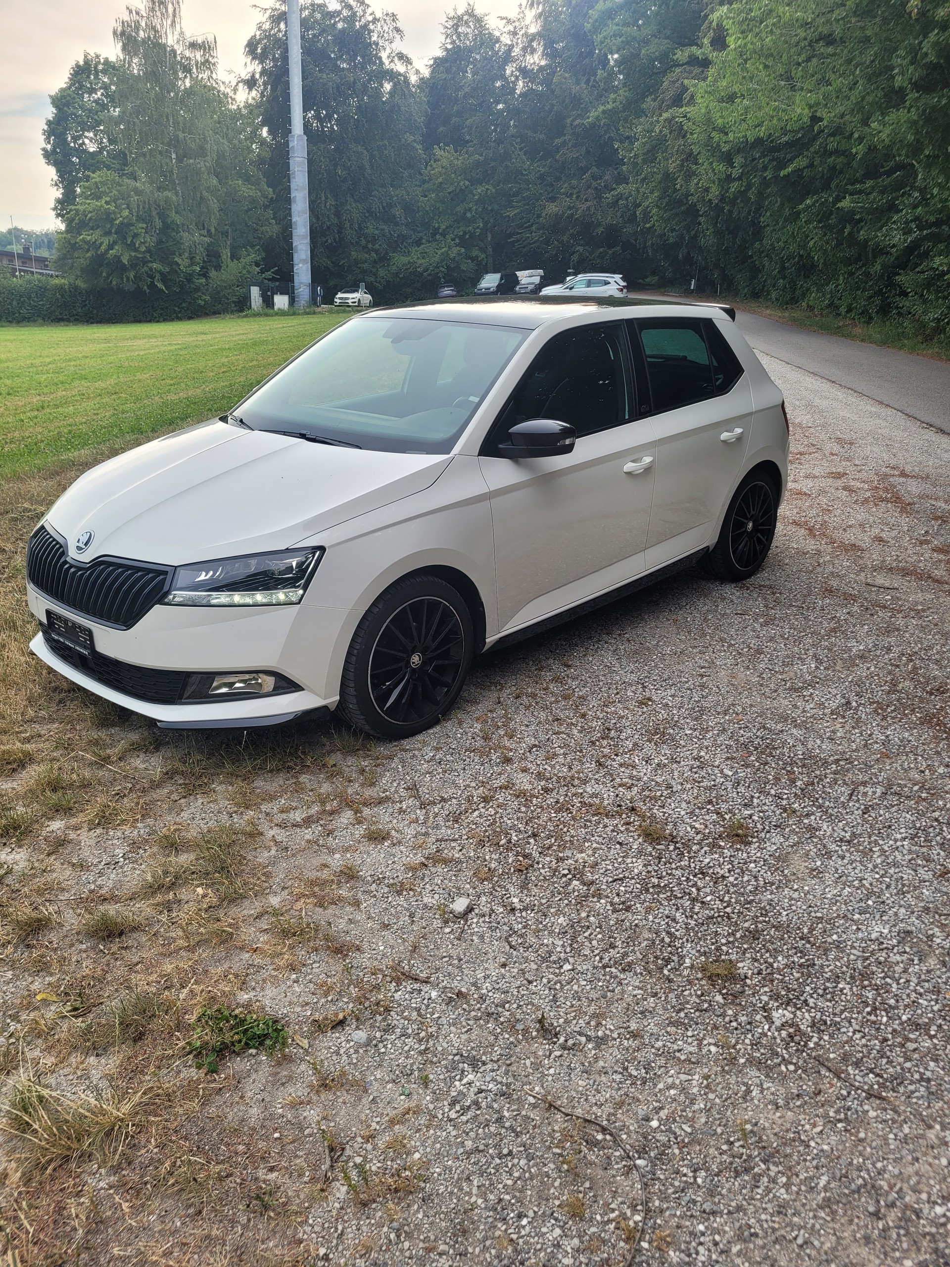 SKODA 1.0 TSI Monte Carlo-image-1