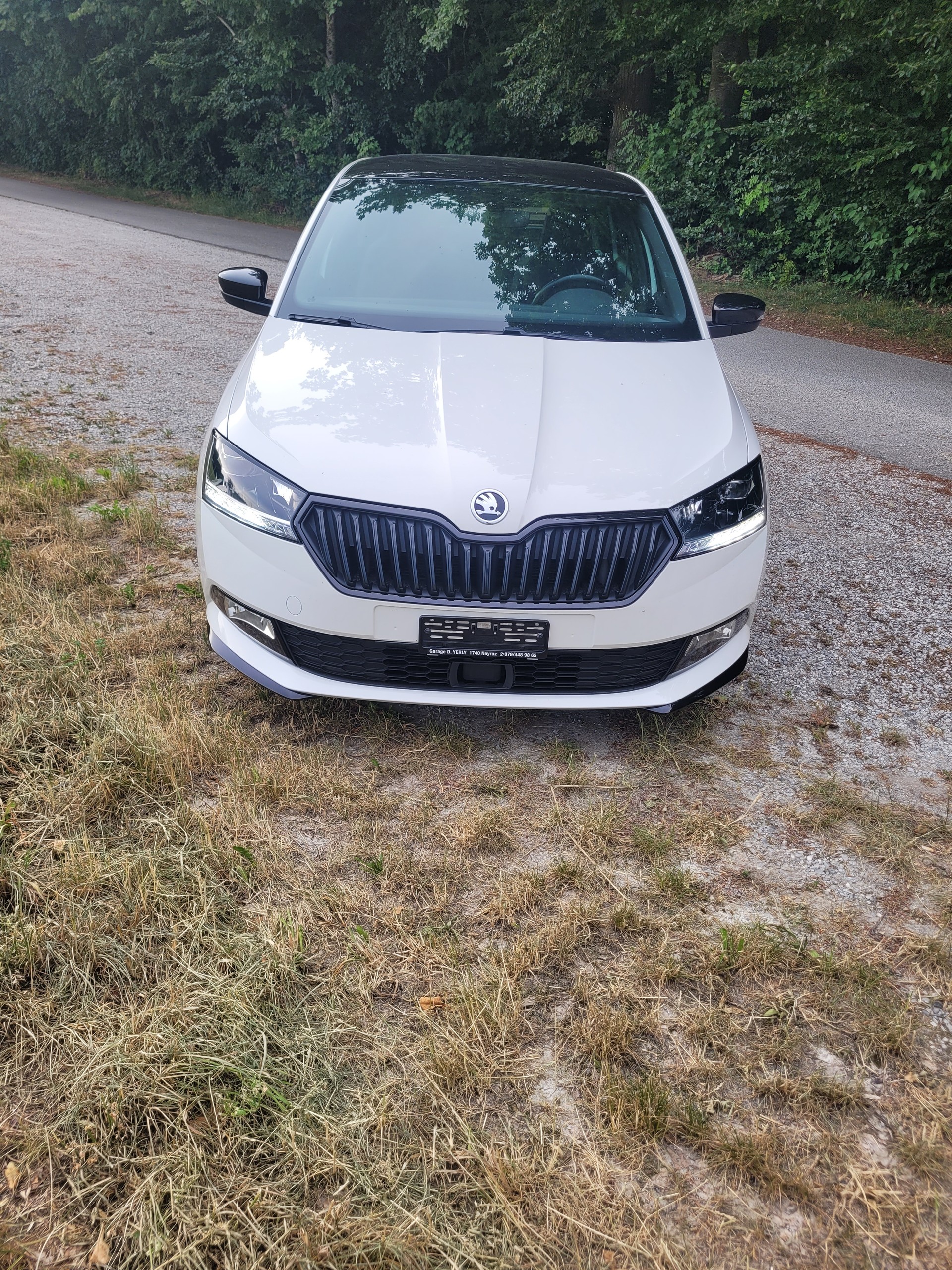 SKODA 1.0 TSI Monte Carlo-image-3