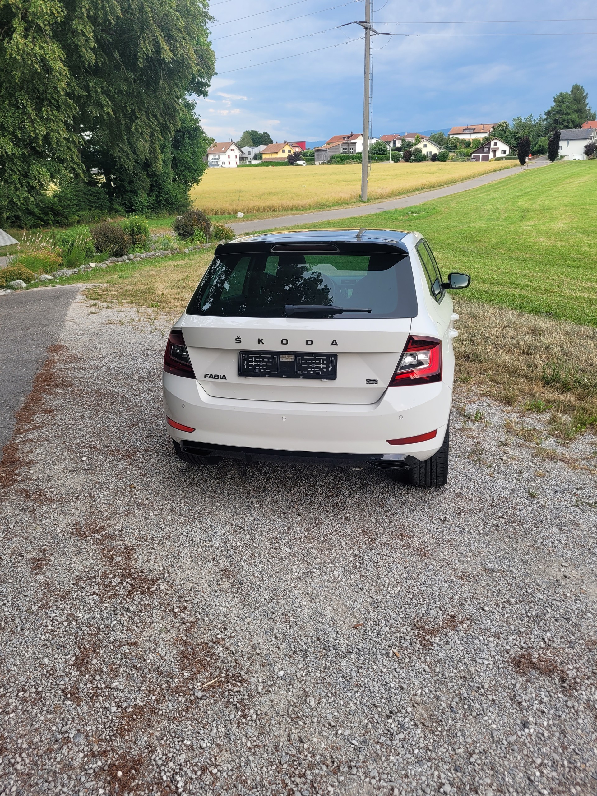 SKODA 1.0 TSI Monte Carlo-image-2