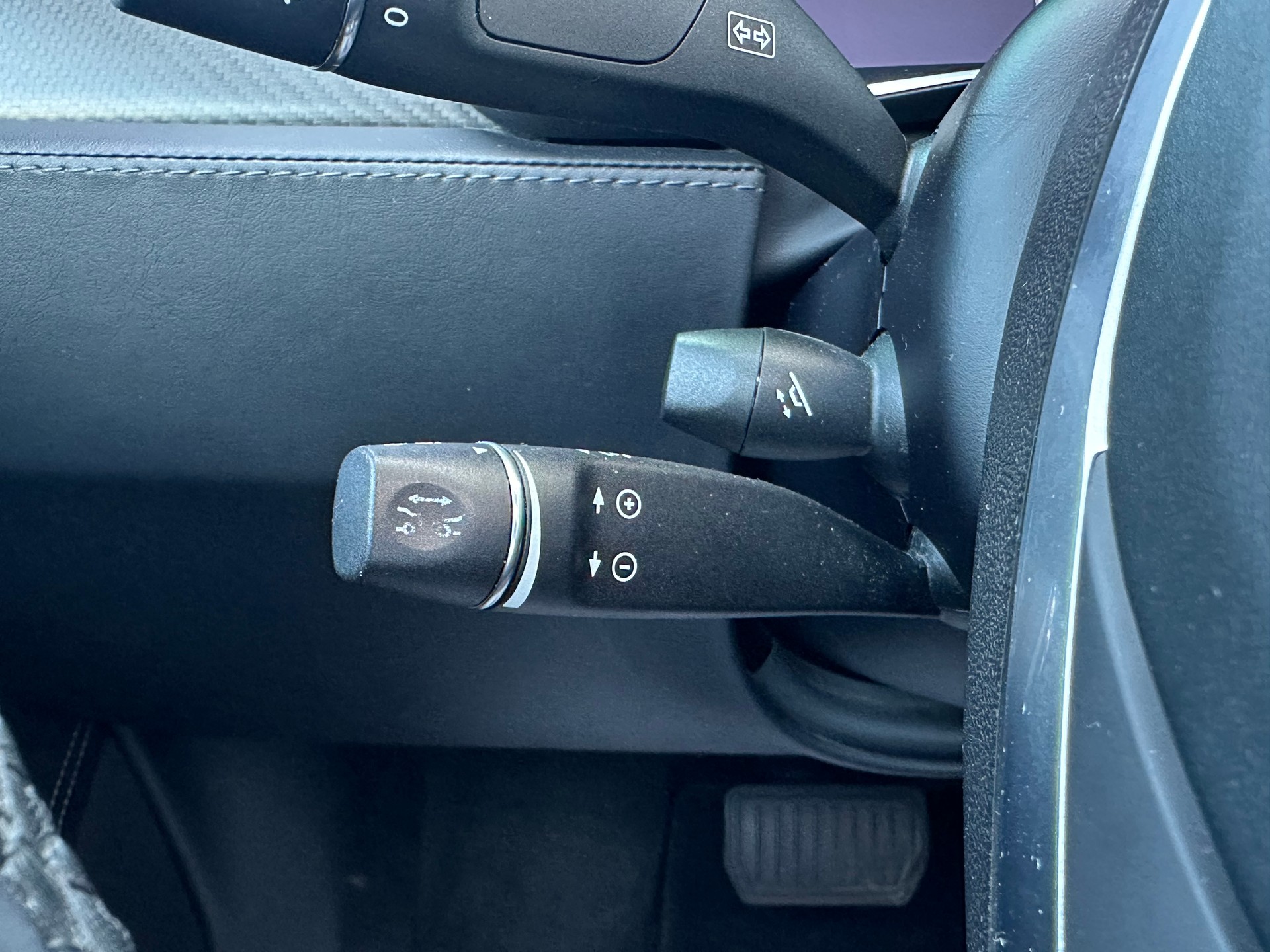 TESLA Model S 100 D-image-13