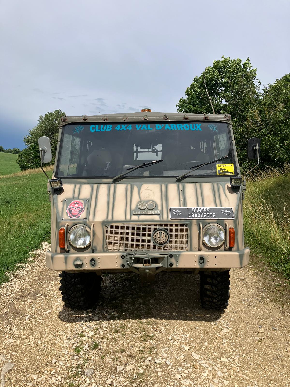 STEYR-image-0