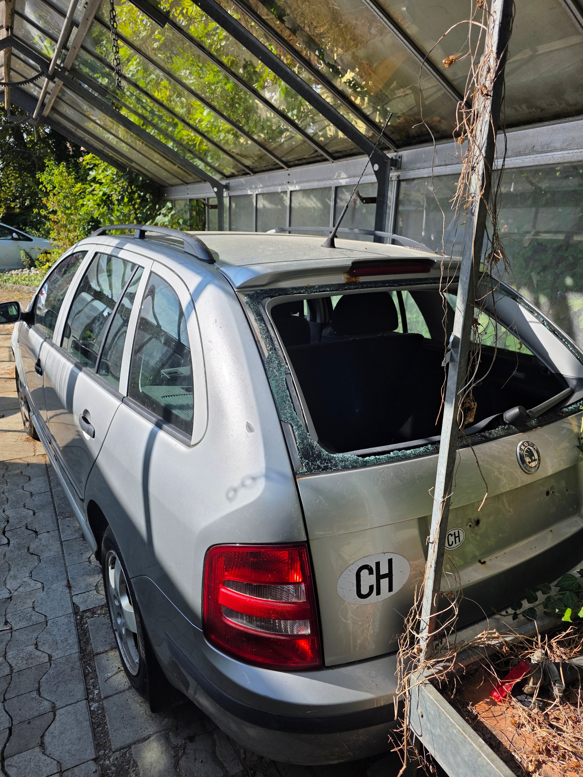 SKODA Fabia 1.9 TDI Ambiente-image-1