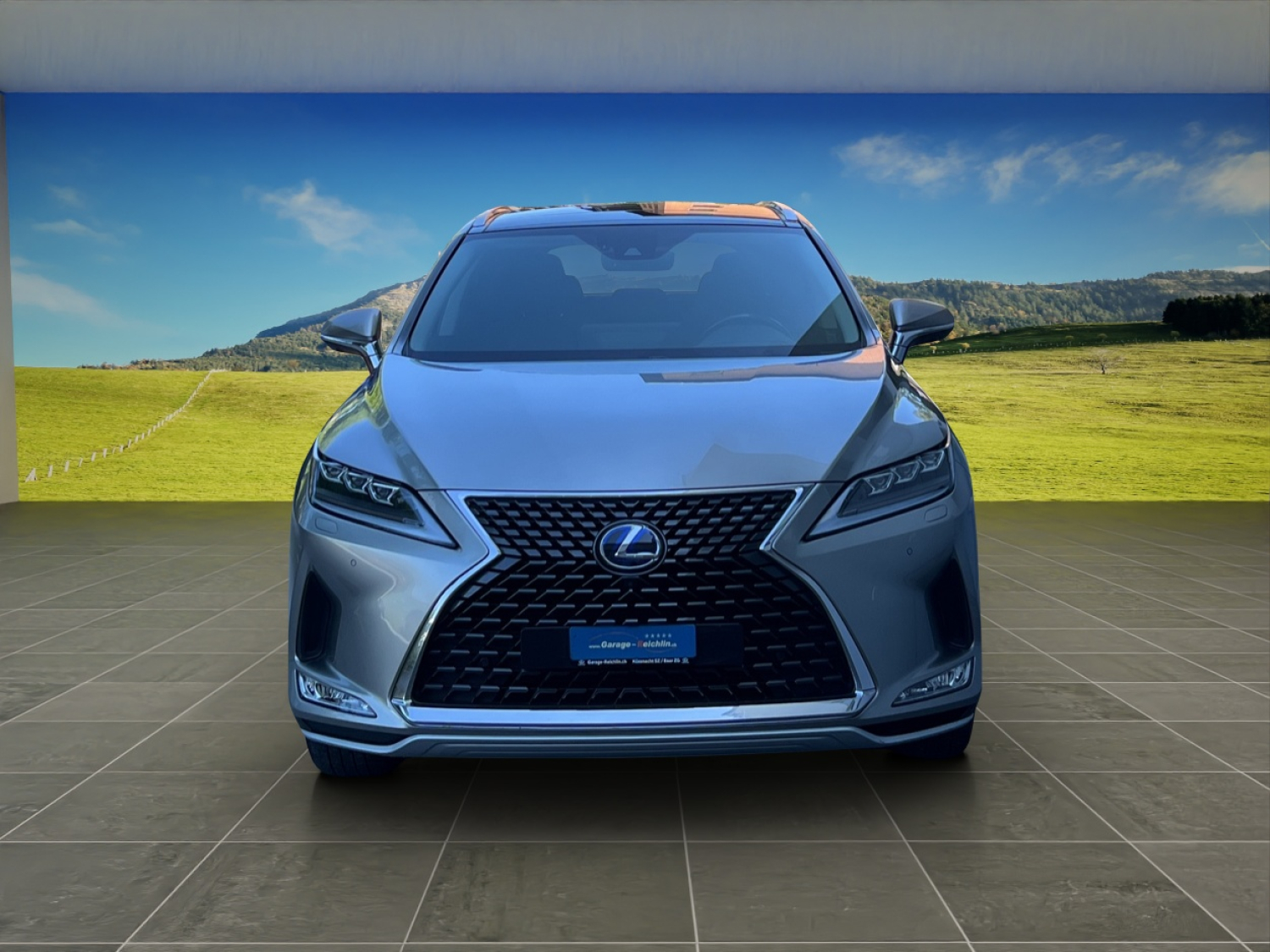 LEXUS RX 450h Excellence-image-7