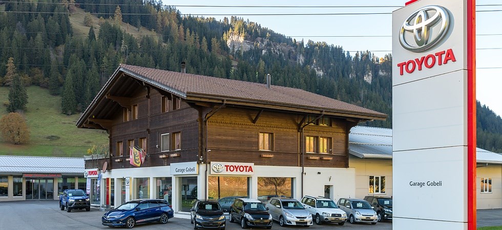 TOYOTA RAV4 2.0i-16V Mountain-business-10