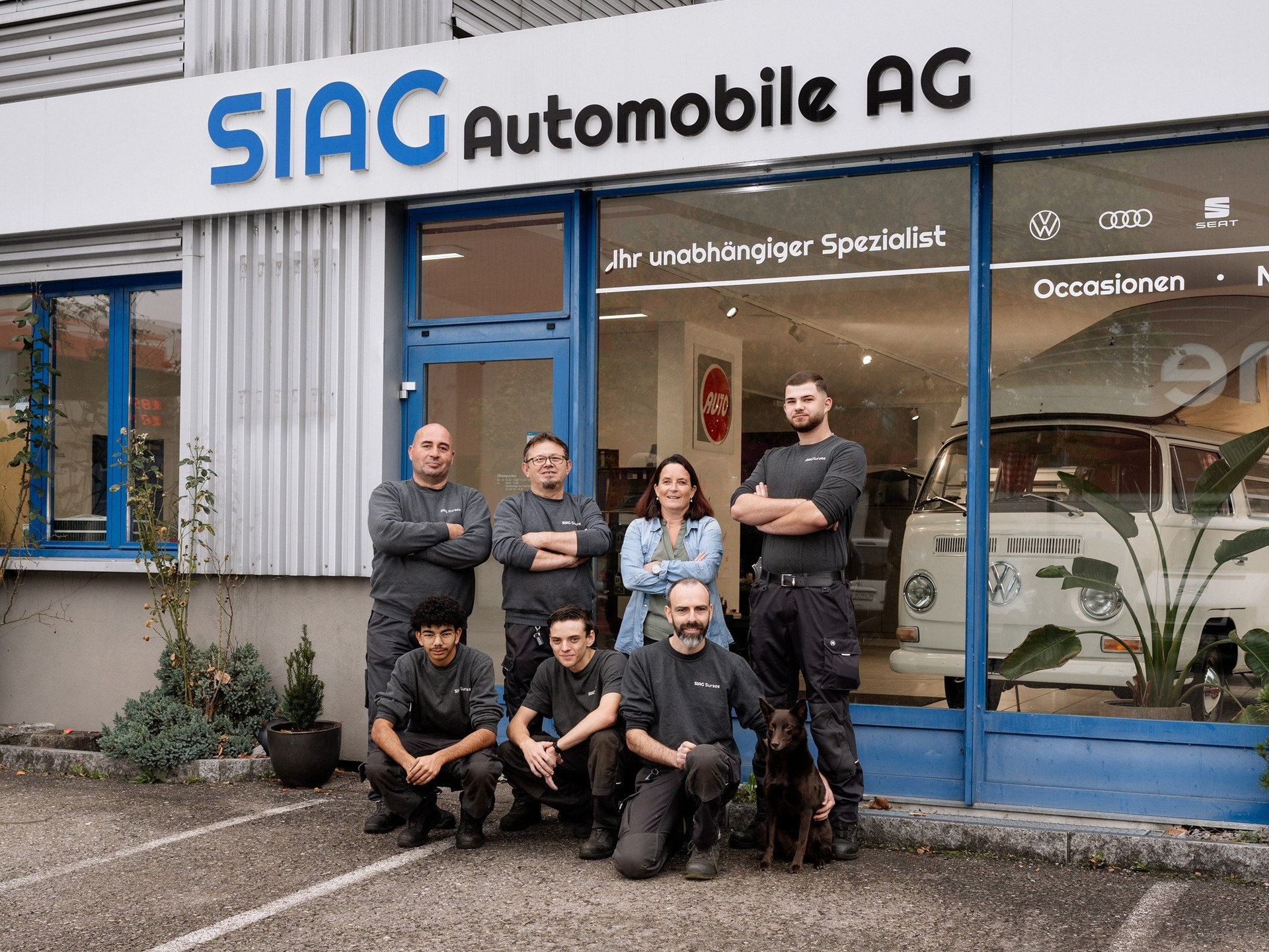 JAC DEMO E30X 51 kWh Flagship Pro+-business-6