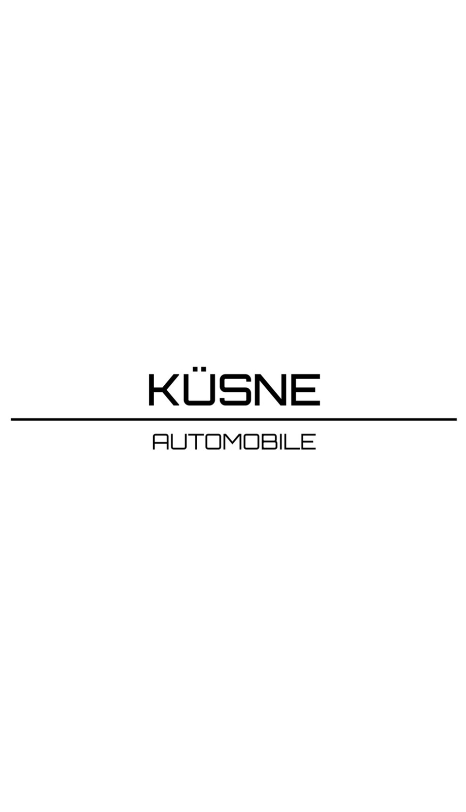 PORSCHE Cayenne E-Hybrid-business-21