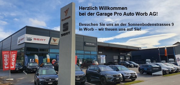 SKODA Octavia Combi 2.0 TSI RS DSG-business-15