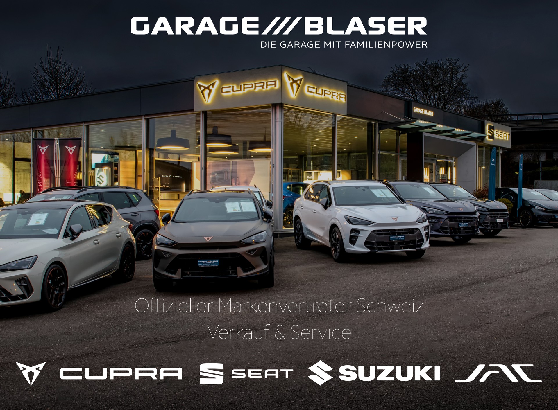 CUPRA Terramar 2.0 TSI DSG 4Drive Business Edition-business-9
